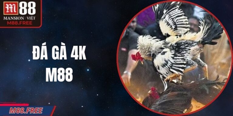 Đá Gà 4K M88 – Trận Đấu Rõ Nét Khung Hình Tốc Độ Cao
