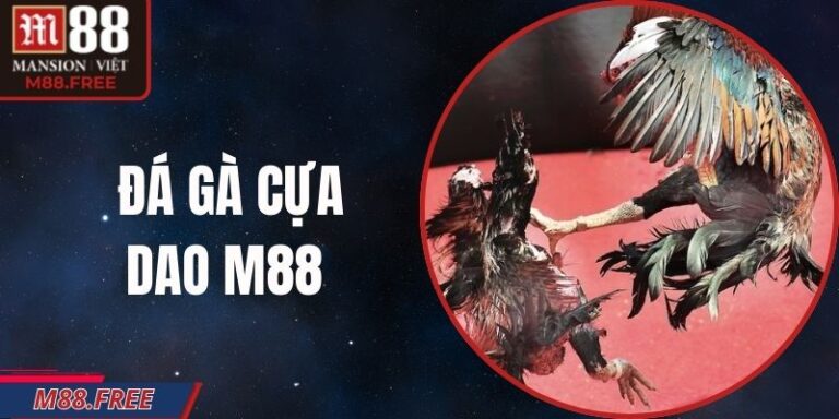 Đá Gà Cựa Dao M88 – Kịch Tính Từng Giây, Tung Đòn Hiểm