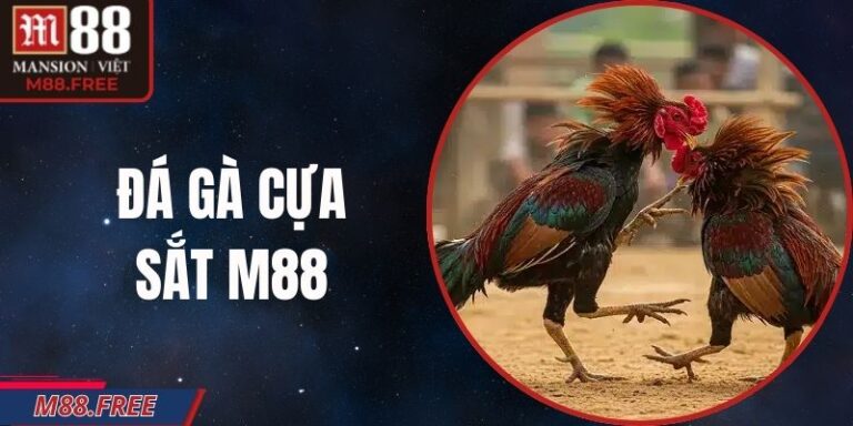 Đá Gà Cựa Sắt M88 – Trận Chiến Bền Bỉ Giữa Chiến Kê
