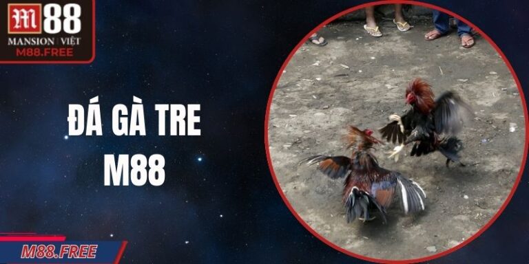 Đá Gà Tre M88 – Trận Đấu Tốc Độ Cao Từ Giống Gà Tinh Anh