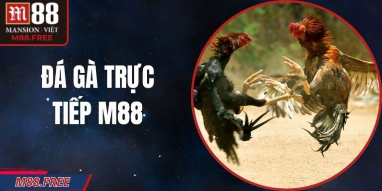 Đá Gà Trực Tiếp M88 – Sân Chơi Cá Cược Từ Trường Đấu Lớn