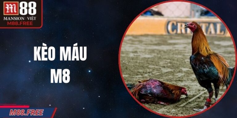 Kèo Máu M88 – Cược Sát Thương Cao Quyết Định Trận Đấu